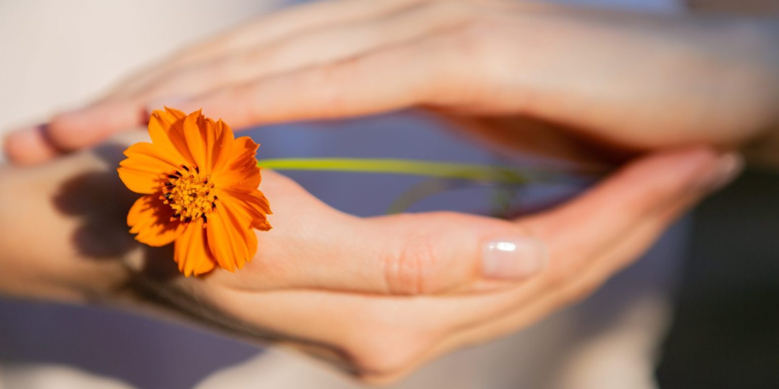 Kasvumaa | Integratiivinen ravintovalmennus